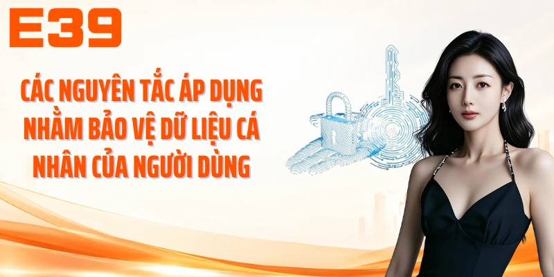Các nguyên tắc áp dụng nhằm bảo vệ dữ liệu cá nhân của người dùng